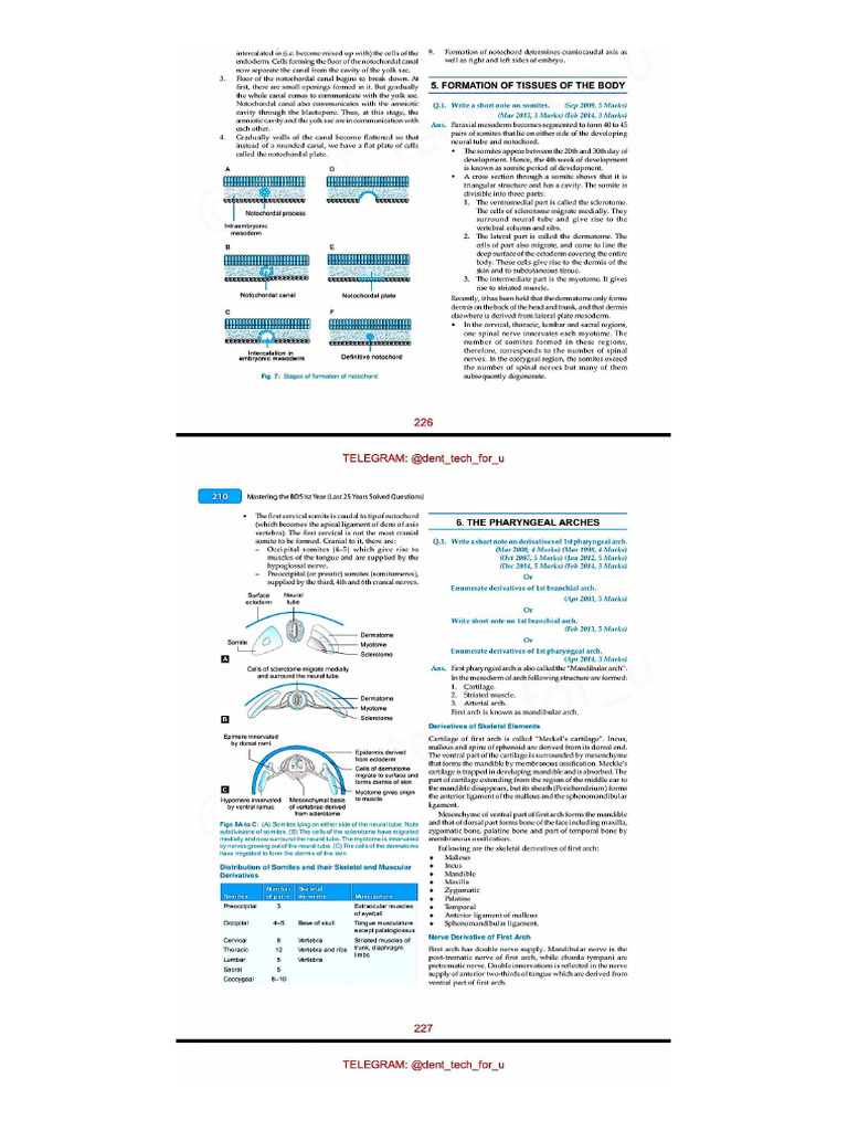Pharynx visual data 2