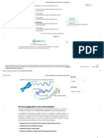 Rol de La Epigenética en El Desarrollo de Enfermedades