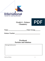 Patricles_and_Solutions_workbook