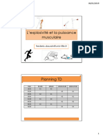 Lexplosivité Et La Puissance Musculaire