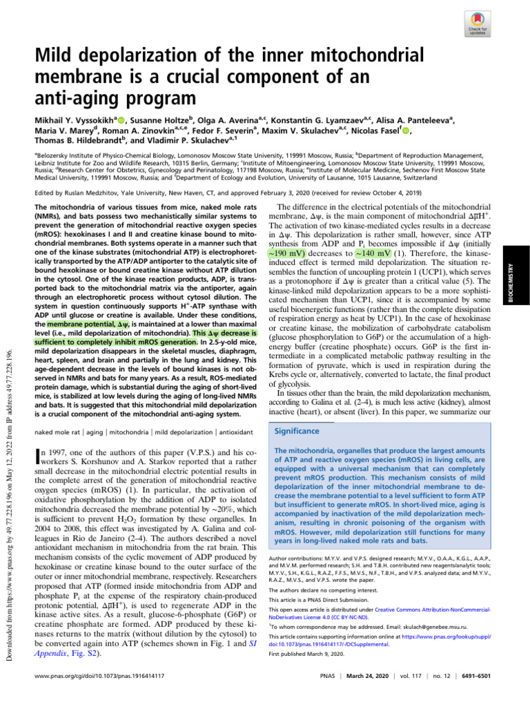 Pnas 1916414117 | PDF | Mitochondrion | Adenosine Triphosphate