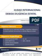 Documento 04. Responsabilidad Internacionales Debida Diligencia