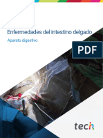 Medicina y Cirugía Equina I Enfermedades Del Intestino Delgado