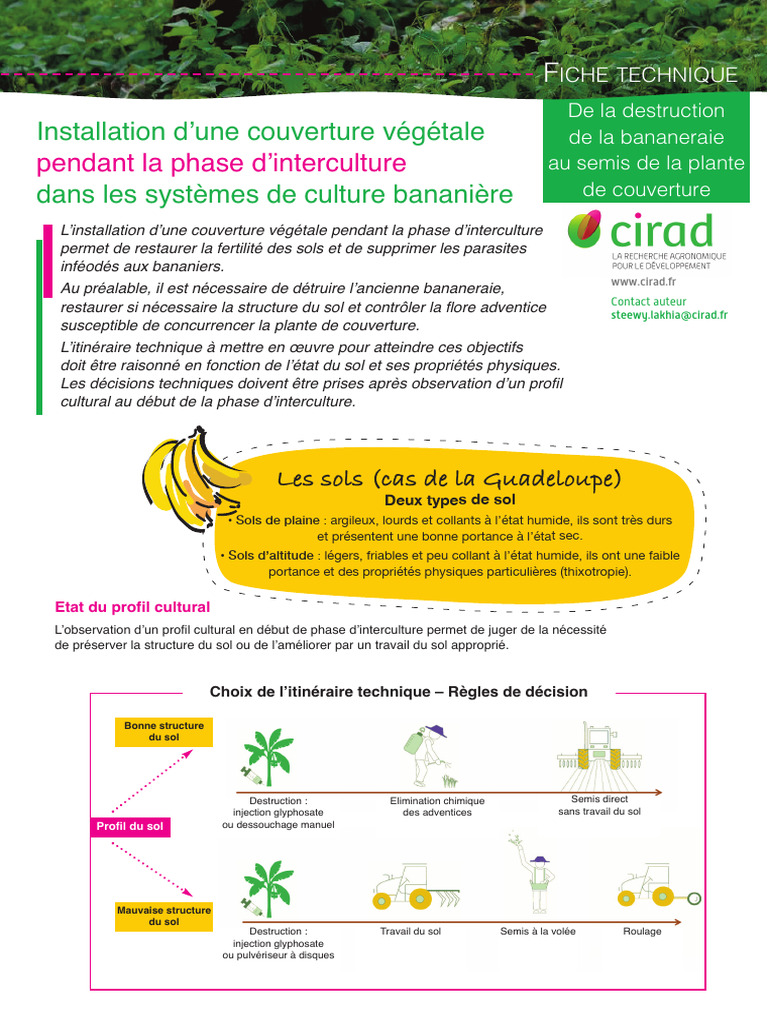 Techniques de restauration des sols bananiers | PDF | Sol (pédologie ...