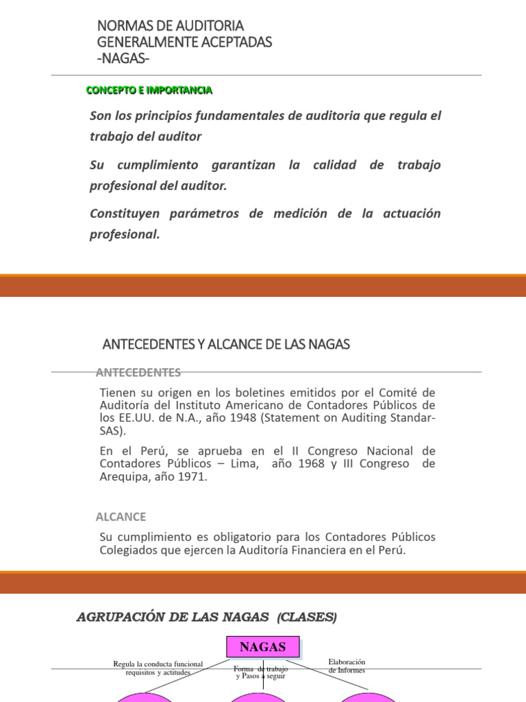 Normas de Auditoria Generalmente Aceptadas | PDF | Auditoría | Contabilidad