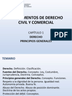 Capítulo 1 - Derecho - Principios Generales UNNE