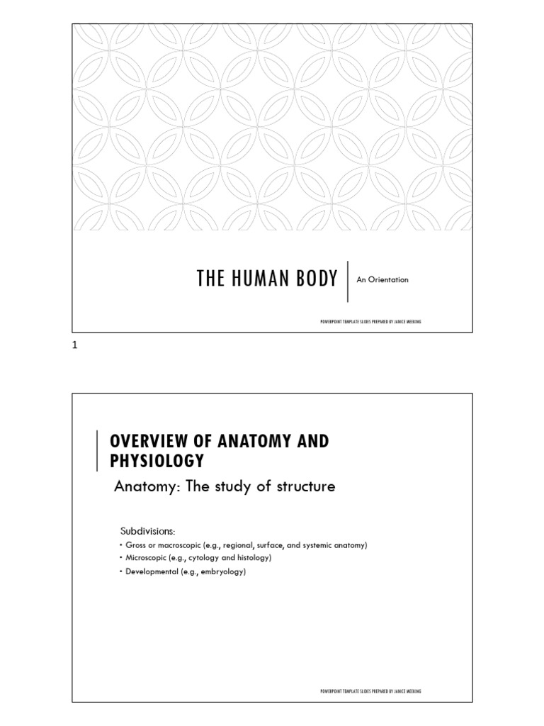 1. The Human Body - An Orientation - Lecture | PDF | Homeostasis ...
