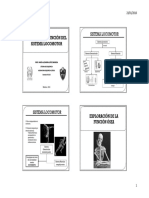 Sistema Locomotor 1