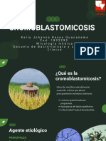 Cromoblastomicosis