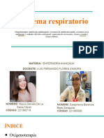 Sistema Respiratorio