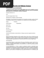 Acción de Hábeas Corpus,mk