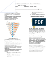 Matéria taxonomia