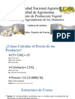 Fijación de Precio PPT