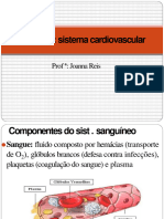 Sistema cardiovascular e respiratório