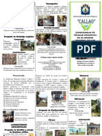 Experiencias de Trabajo Ambiental en El Colegio Nacional Callao