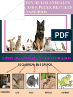 Animales Vertebrados