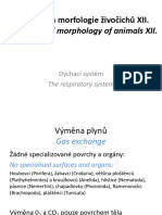 12morphology Respiratory System