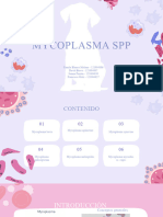 Presentación Mycoplasma SP