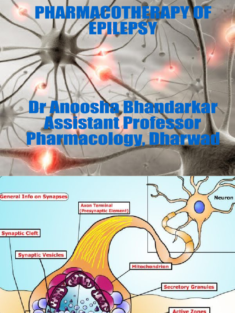Overview of Antiepileptic Drugs | PDF | Epilepsy | Neurotransmitter