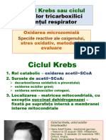 9.Ciclul Krebs