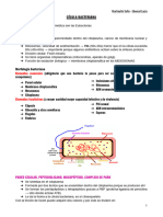 Resumen Micro Bacterio