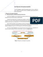 Metabolisme Des Glucides