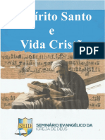 Espírito Santo e Vida Cristã Editada