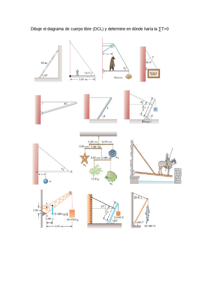 diagramas-de-cuerpo-libre-pdf