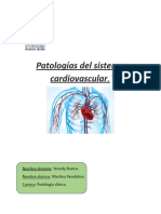 Informe Patologias Sis - Cardiovascular