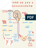 Síndrome de Primera y Segunda Neurona 