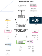 Mapa conceptual