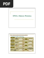 DNA e Sintese Proteica