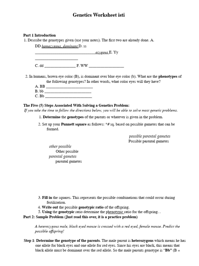 Monohybrid Cross Genetics Worksheet | PDF | Genotype | Dominance (Genetics)