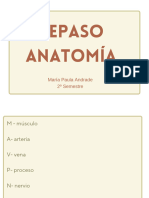 Repaso Anatomía