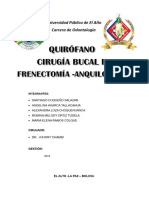Frenilectomia PDF Informe PDF