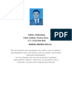 Copia de Perfil Profesional Estiben