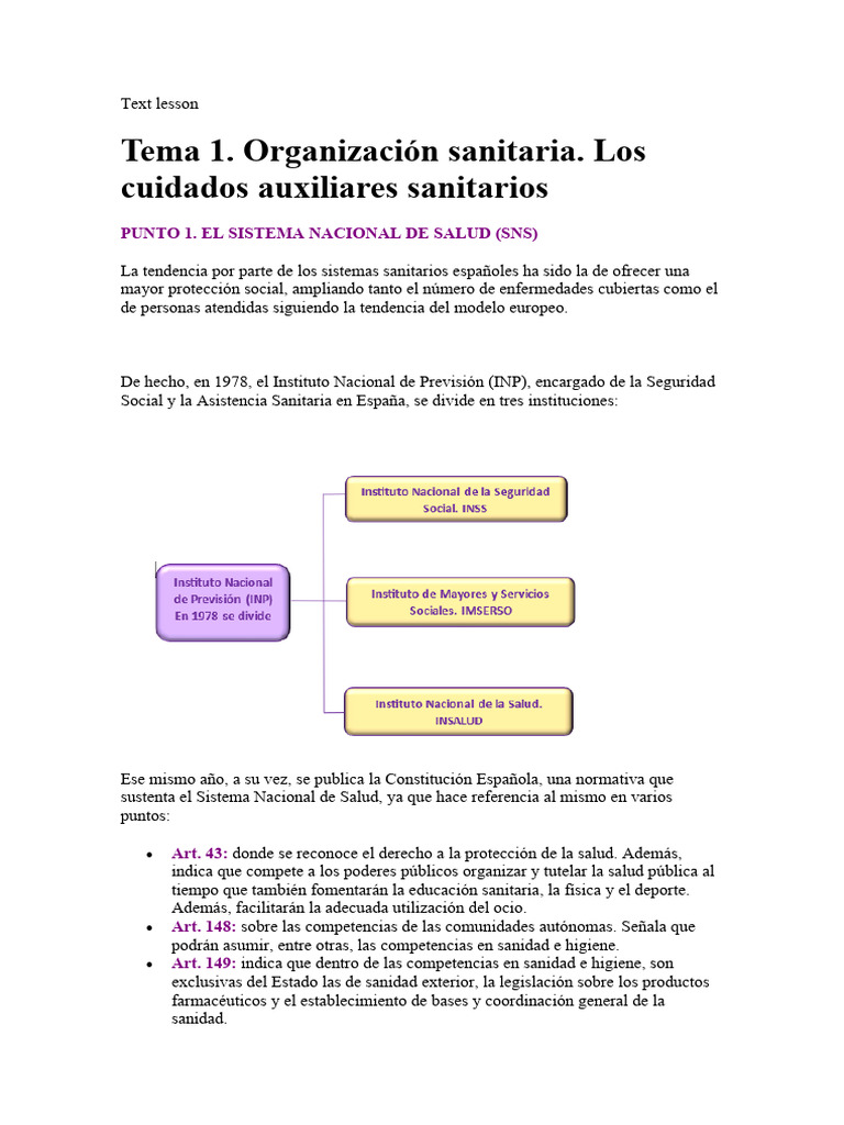 Organización del Sistema de Salud | PDF | Hospital | Enfermería