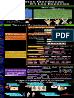 Infografía Génetica