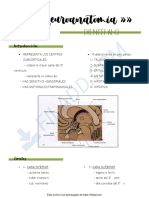 Neuroanatomia DIENCEFALO