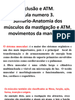 Aula Numero3 de Atm