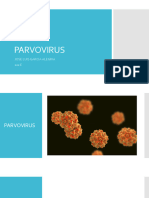 PARVOVIRUS