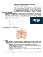 1. Anatomía del SRF