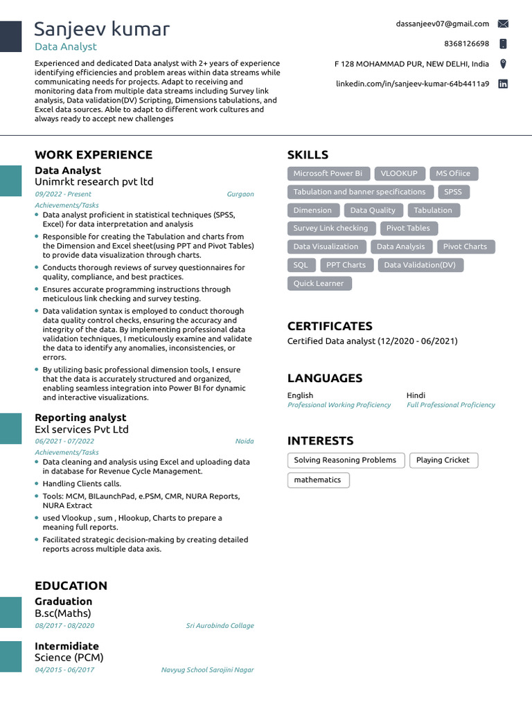 Data Analyst Profile: Sanjeev Kumar | PDF | Data Analysis | Microsoft Excel
