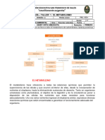 Guía g. Vii Taller 1. El Metabolismo