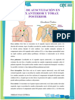 FOCOS DE AUSCULTACIÓN EN TÓRAX ANTERIOR Y TÓRAX POSTERIOR