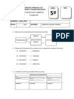 Examen de 5 prim. CTA