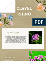 Presentación Plantas y Flores Minimalista Orgánico Verde
