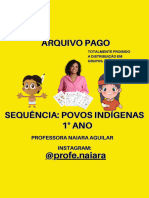 POVOS INDÍGENAS