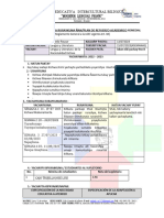 Remedial Plan de Acompañamiento.