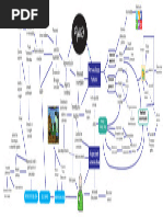 Algunos Rasgos Definidores Del Concepto de Imagen Humana